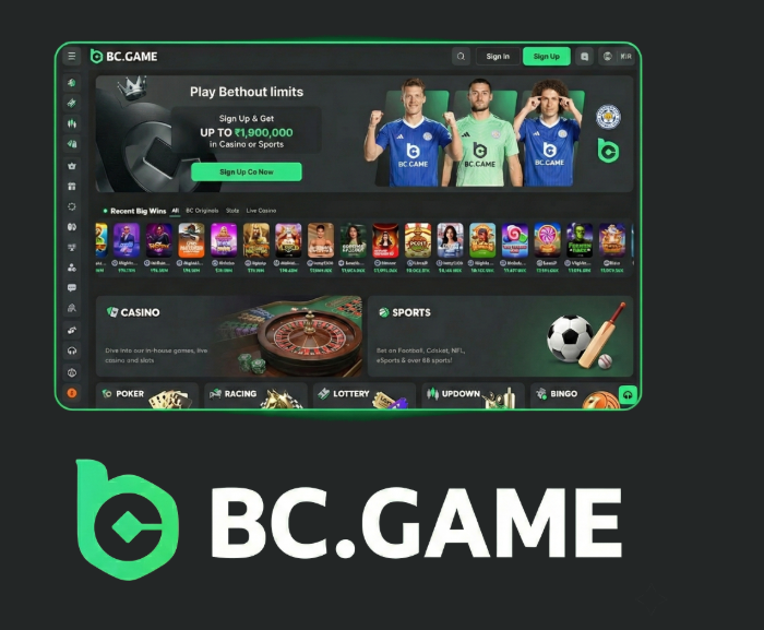 Comprehensive BC.Game Review Your Ultimate Guide to Crypto Gambling